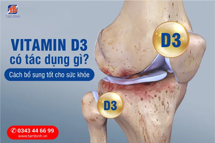 Vitamin D3 hỗ trợ xương khớp chắc khỏe