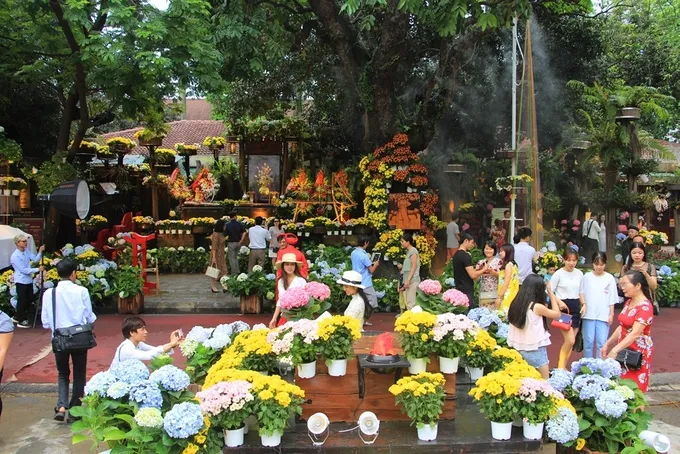 Vườn hoa cẩm tú cầu tại Bảo tàng thêu XQ Huế thu hút đông đảo du khách