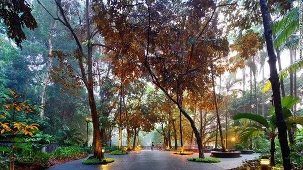 Vườn thực vật Singapore, Di sản Thế giới được UNESCO công nhận.